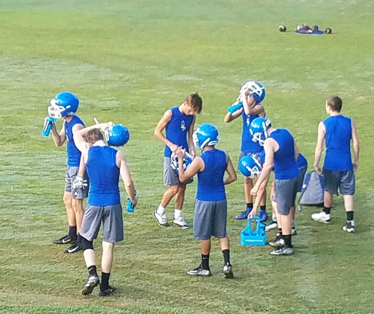 20190801_074629.jpg